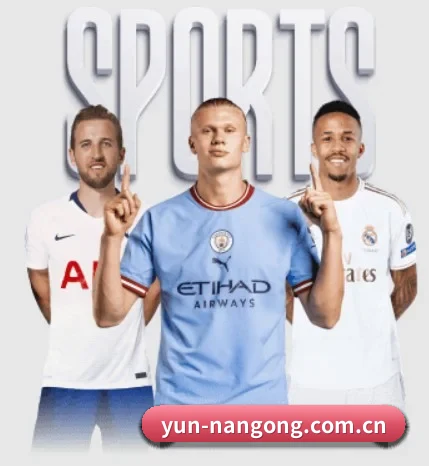 yun-nangong.com.cn五大内容板块,覆盖赛事直播与实时比分